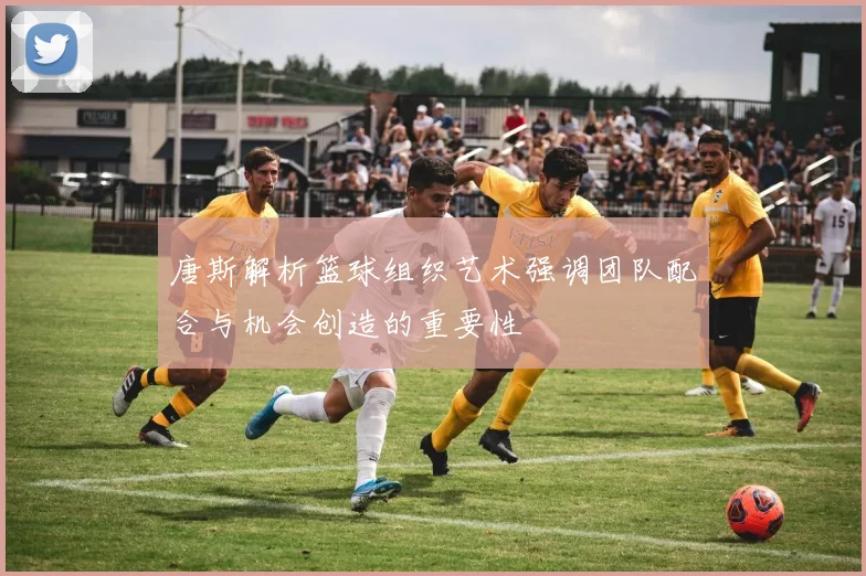 唐斯解析篮球组织艺术强调团队配合与机会创造的重要性