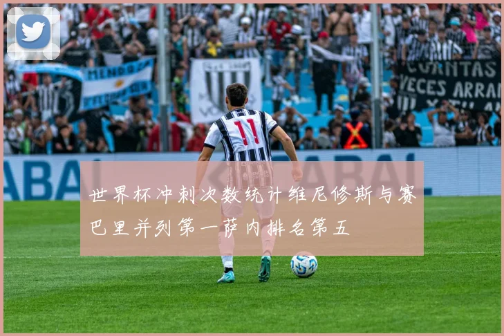 世界杯冲刺次数统计维尼修斯与赛巴里并列第一萨内排名第五