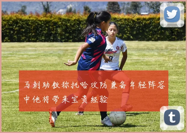 马刺助教称托哈攻防兼备年轻阵容中他将带来宝贵经验